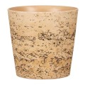 obal-778-cork-16.jpg