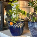 niebieska-donica-ceramiczna-glazed-polnix-we-wzory.jpg