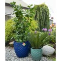 dekoracyjna-oslonka-na-doniczke-niebieska-ceramiczna-ozdobna-doniczka-kobaltowa-polnix-glazed-mrozoodporna.jpg
