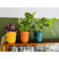 kolorowe-oslonki-doniczki-na-kwiaty-storczyki-polnix-sklep-markowe-donice.png