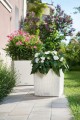biale-donice-na-taras-lechuza-cube-cottage-30-i-40-niecierpek-oleander-w-donicy.jpg