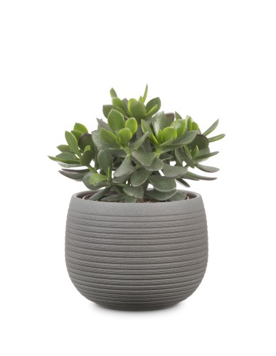 Scheurich osłonka Linara brązowy kamień.jpg