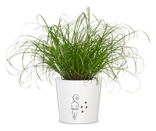 Ceramiczna biała osłonka Scheurich z kotkiem sklep markowedonice.jpg