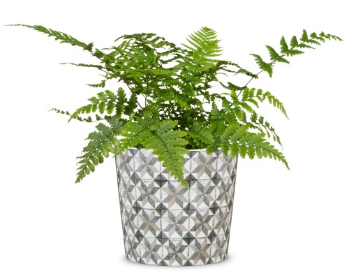 Scheurich Cordoba ceramiczna osłonka na doniczkę w moziakowy wzór.jpg