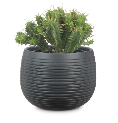 Kamienna osłonka na doniczkę okrągła grafitowy kamień osłonki na doniczki sklep.jpg