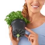 Włóż sztyft do doniczki produkcyjnej .jpeg