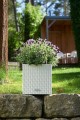 donice-do-ogrodu-lechuza-cube-cottage-z-nawadnianiem-lawenda-w-donicy.jpg