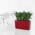 Czerwona prostokątna donica do biura Lechuza Cararo z nawadnianiem.jpg