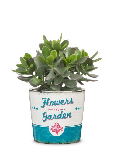 Scheurich Flower Garden nowa osłonka na doniczkę Retro Garden sklep markowedonice.jpg