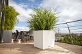 biale-donice-na-tarasy-balkony-lechuza-cube-cottage-30-liriope.jpg